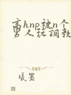 高hnp被n个男人玩调教
