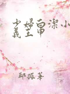 少妇白洁小说高义王申