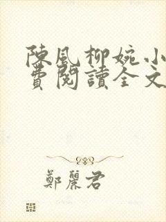 陈风柳婉小说免费阅读全文