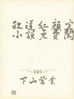 政道红颜完整版小说免费阅读全文