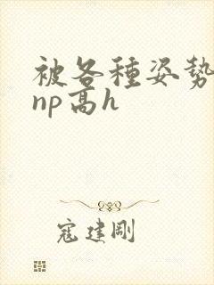 被各种姿势玩弄np高h