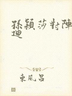 孙颖莎对阵王艺迪