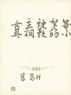 女主被拿各种刑具调教的小说