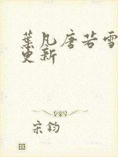 叶凡唐若雪王婿更新