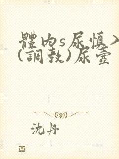 体内s尿慎入h(调教)尿壶