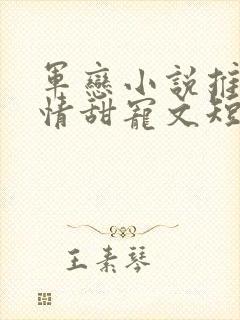 军恋小说推荐言情甜宠文短篇小说