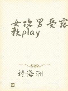 女攻男受露出调教play