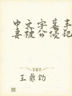 中文字幕丰满人妻被公侵犯