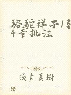 骆驼祥子1到24章批注