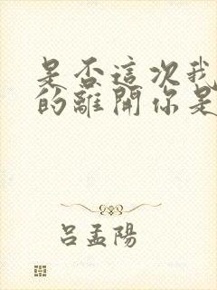 是否这次我将真的离开你是什么歌