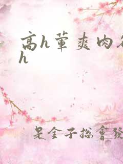 高h荤爽肉欲文h
