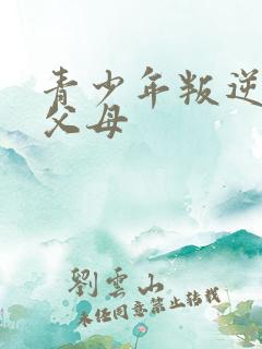 青少年叛逆期打父母