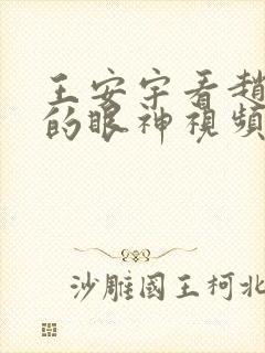 王安宇看赵露思的眼神视频