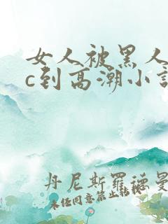 女人被黑人狂躁c到高潮小说