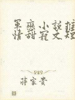 军恋小说推荐言情甜宠文短篇小说