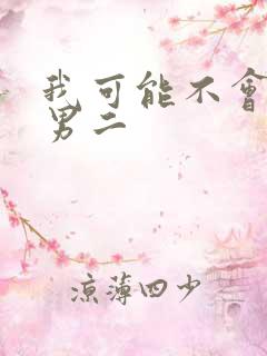 我可能不会爱你男二