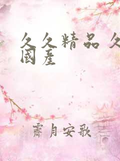 久久精品 久久国产