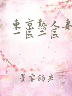 东京热人妻av一区二区