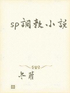 sp调教小说