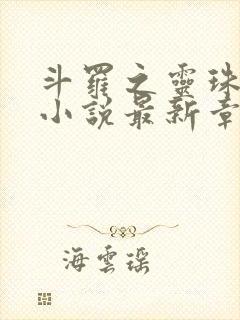 斗罗之灵珠神剑小说最新章下载