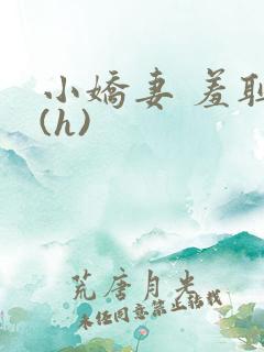 小娇妻 羞耻 (h)