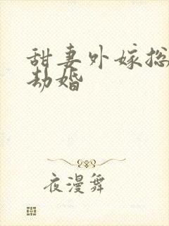 甜妻外嫁总裁要劫婚