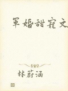 军婚甜宠文推荐