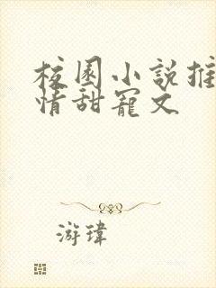 校园小说推荐言情甜宠文