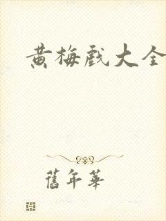 黄梅戏大全吴琼