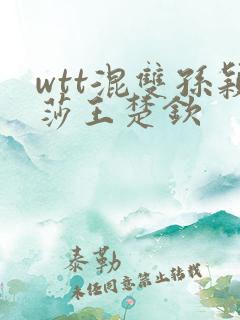 wtt混双孙颖莎王楚钦