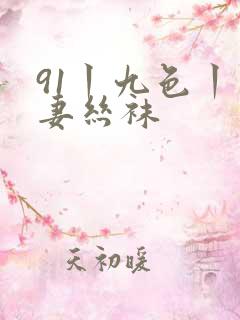 91丨九色丨人妻丝袜