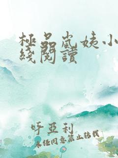 极品岚姨小说在线阅读