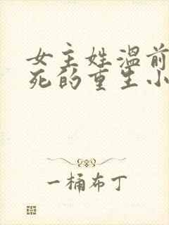 女主姓温前世惨死的重生小说