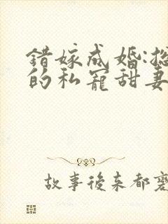 错嫁成婚:总裁的私宠甜妻短剧