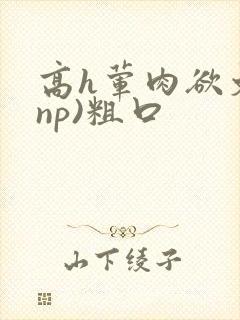 高h荤肉欲文(np)粗口