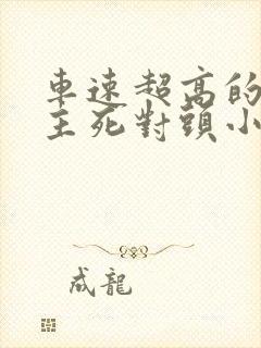 车速超高的双男主死对头小说