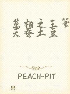 万相之王笔趣阁天蚕土豆