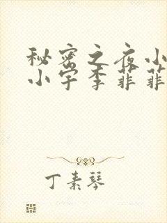 秘密之夜小说李小宇李菲菲免费阅读