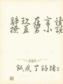 辞玖在言情文里撩直男小说