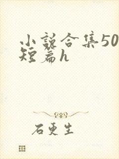 小说合集500短篇h