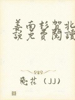 姜南杉贺北铮小说免费阅读最新章节