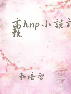 高hnp小说调教