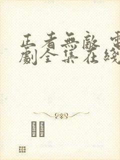 正者无敌 电视剧全集在线看