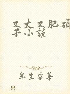 又大又肥硕的奶子小说