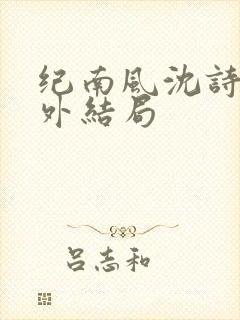 纪南风沈诗澜番外结局