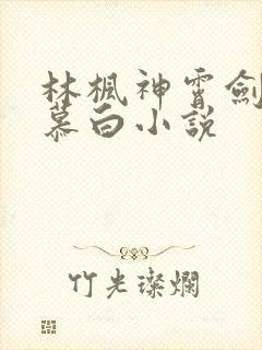 林枫神霄剑宗苏慕白小说