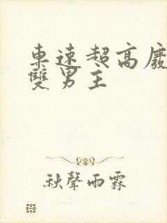 车速超高废文的双男主