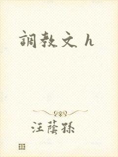 调教文 h
