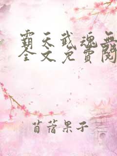 霸天武魂无弹窗全文免费阅读