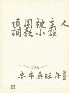 项圈被主人玩弄调教小说